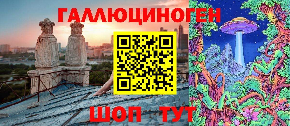 Псилоцибиновые грибы Cubensis  Вход с VPN  Прохладный 